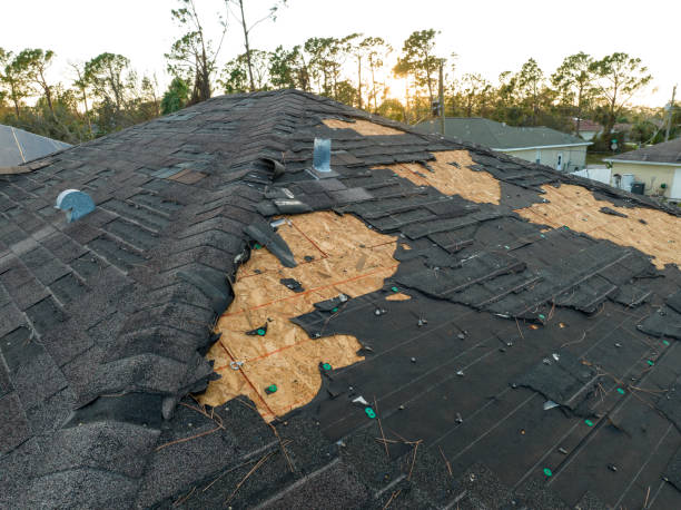 Best Storm Damage Roof Repair  in Avalon, CA